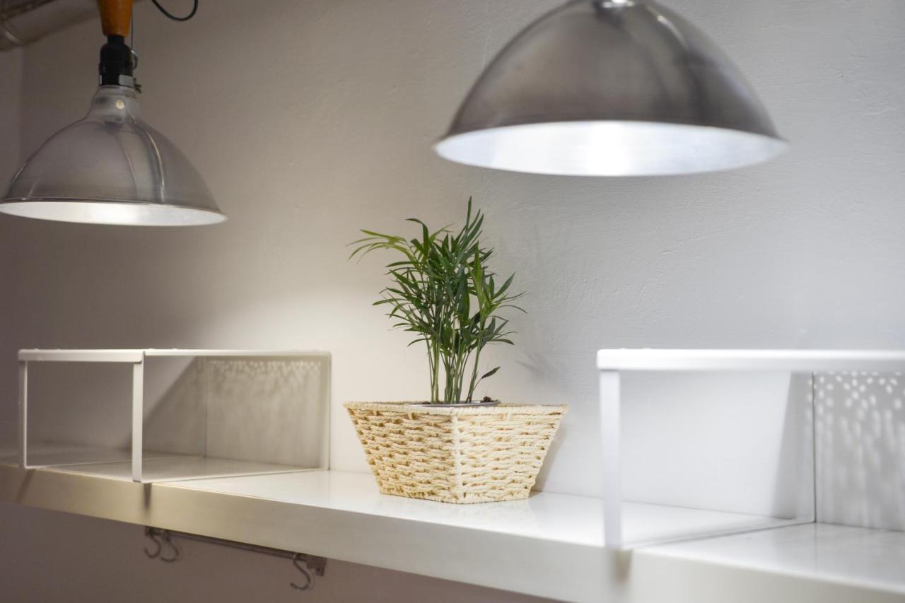 San Pierino Apartment Firenze Eksteriør bilde